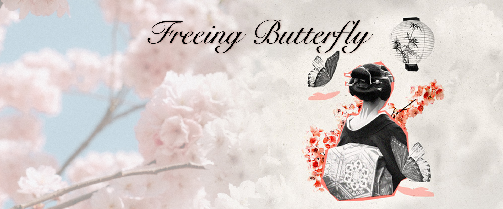 madame butterfly image